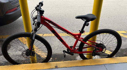 Mountain bike for rent, flexible rates, ideal for Florida adventures.
