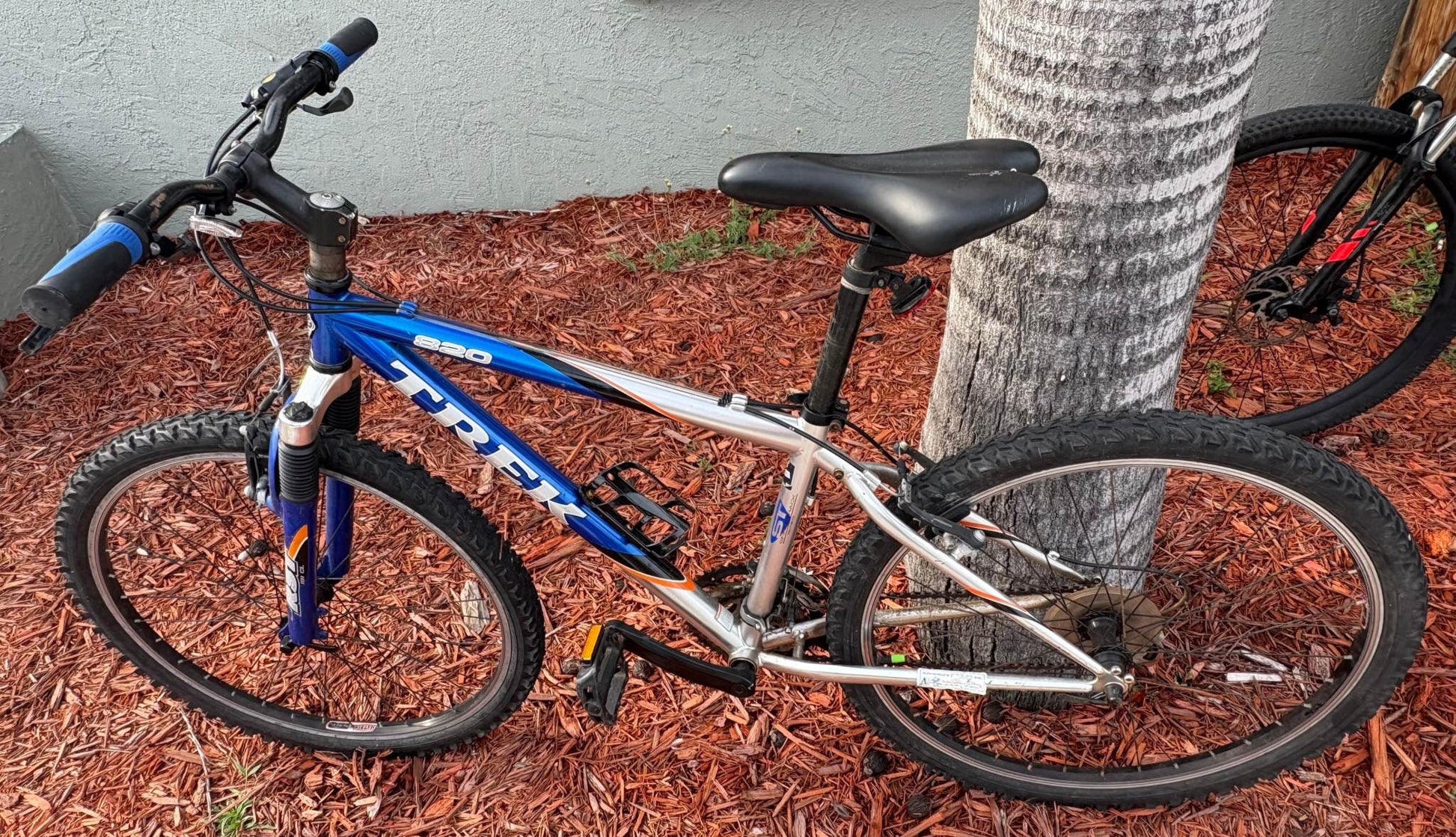 Mountain bike rental, Trek model, available for flexible rental durations in Florida's Space Coast.