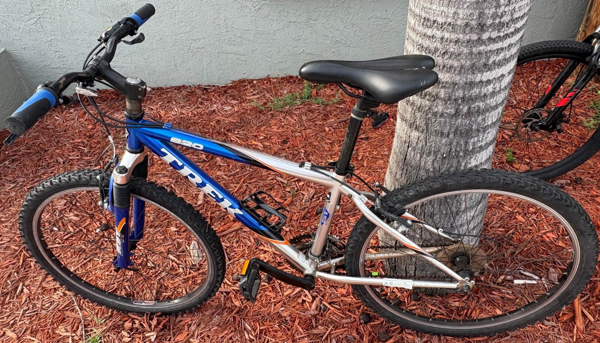 Mountain bike rental available for men and women, featuring models from Trek, in Satellite Beach, Florida.