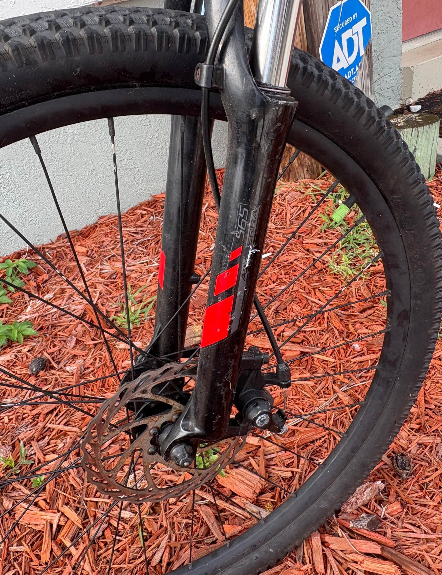 Mountain bike front wheel with disc brake and red stripe detailing for rental.