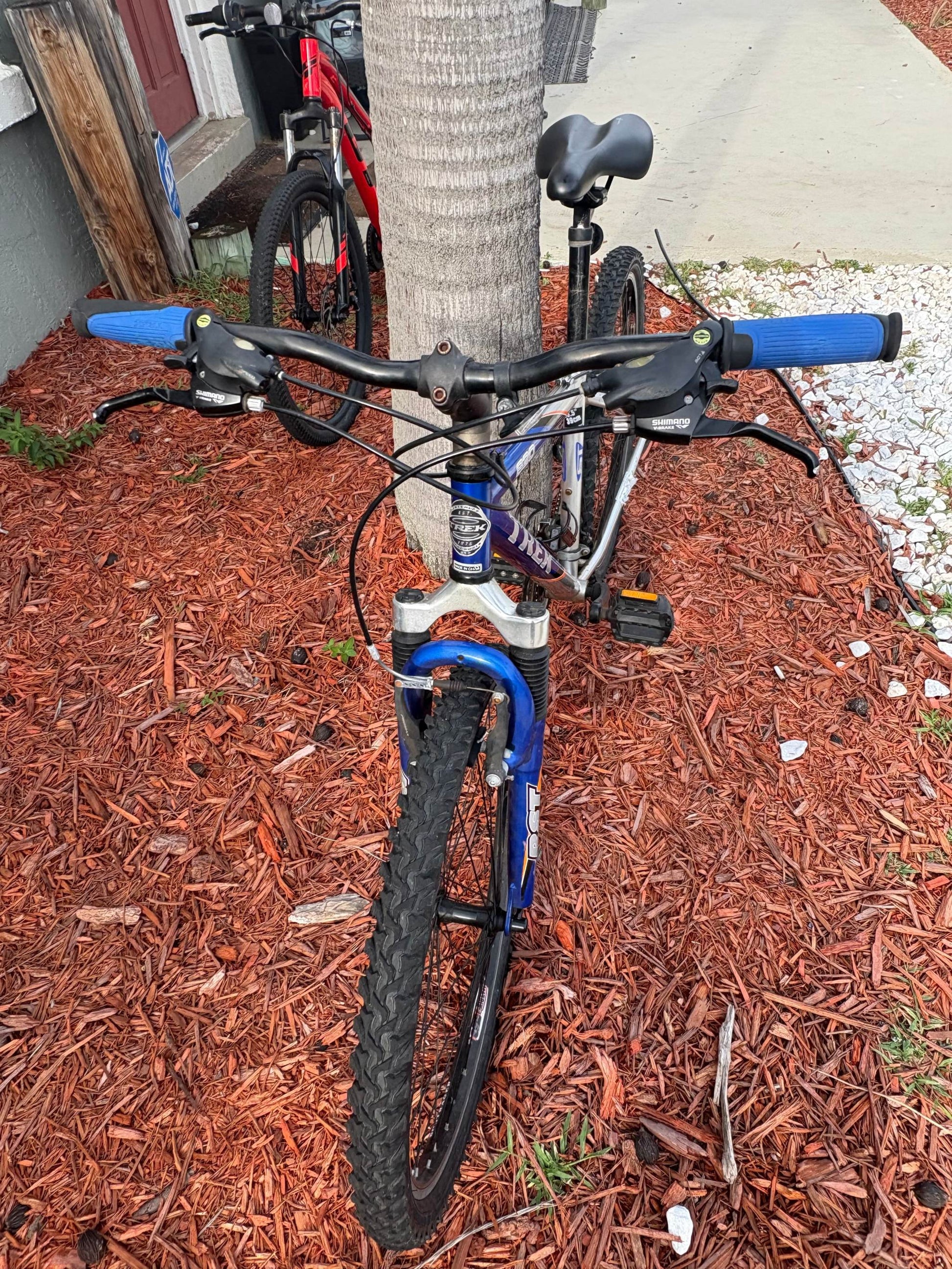 Mountain bikes for rent parked outdoors, available in Specialized, Trek, Diamondback, and GT models.