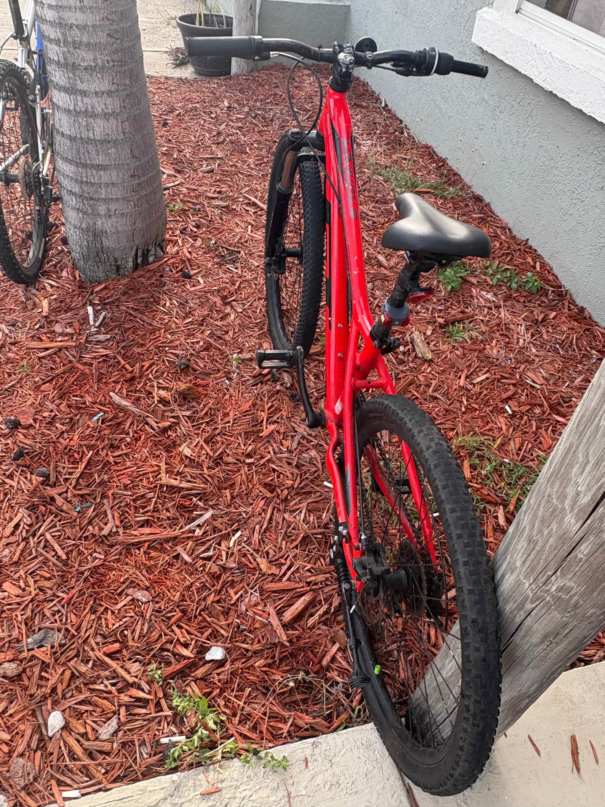 Mountain bike available for rental, high-quality model suitable for men and women, featuring flexible rental options.