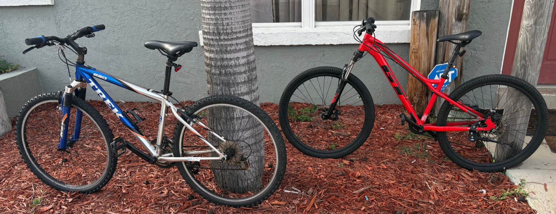 Pair of mountain bikes for rent, including Trek and GT models.